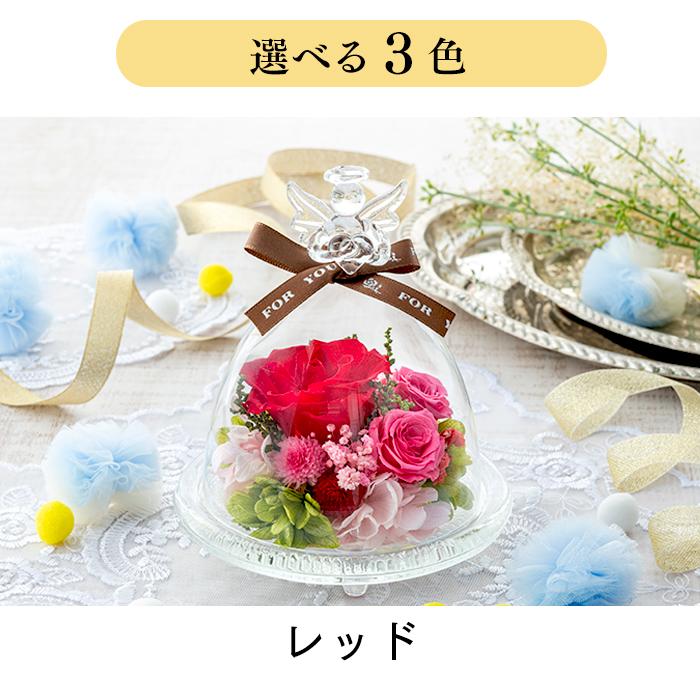 現品》白モクレン スノーホワイト 樹高1.2m（根鉢含まず）42