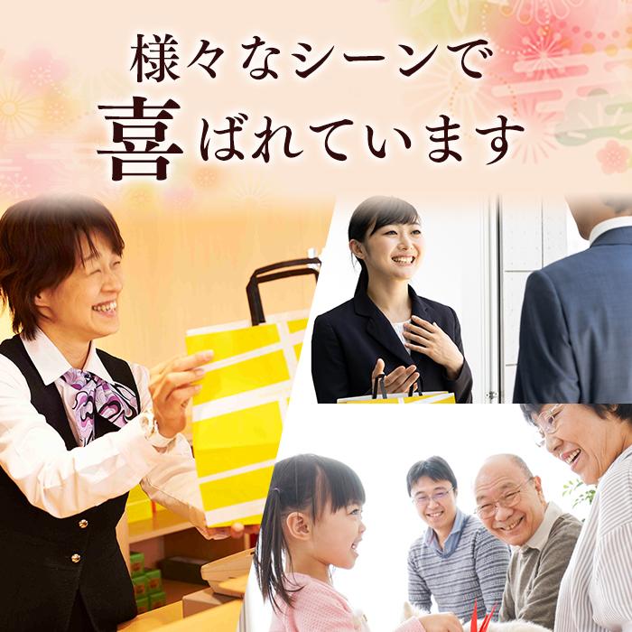 お年賀 お菓子 ギフト 2026 干支 (午 子供 馬 うま ウマ 2025 和菓子 おかし 新年 新春 スイーツ 会社 御年賀 年末年始 お配り ) 開運 カステラ 0.5号 WGM8 | 長崎心泉堂 | 07