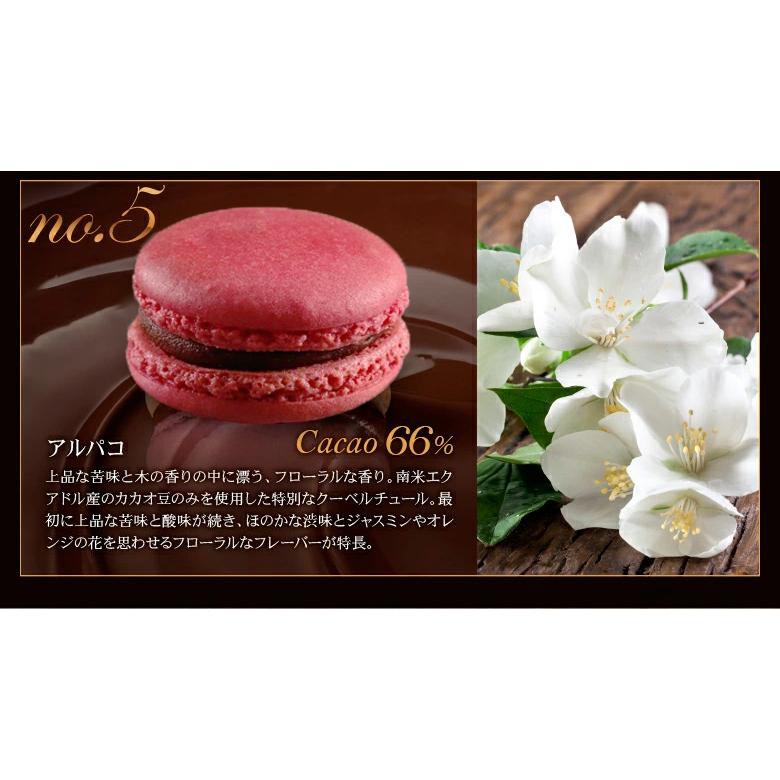 マカロン ギフト お菓子 個包装 ショコラマカロン 詰め合わせ 5 マカロン ギフト お菓子 個包装 ショコラマカロン 詰め合わせ 5