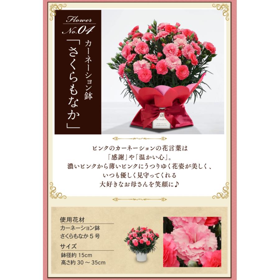 母の日プレゼント アロマストーンカーネーション&フラワーリースセット 母の日 2022 花鉢 花とスイーツセット ギフト プレゼント 送料無料