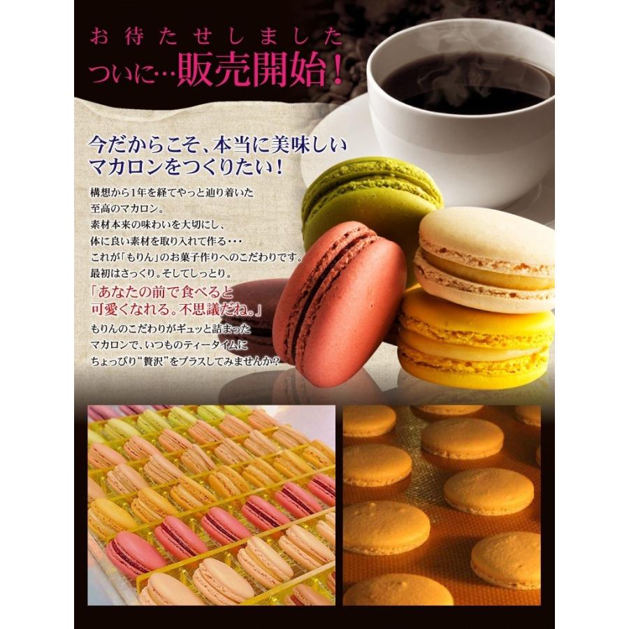 morin（もりん） バレンタイン 2026 ギフト お菓子 個包装 マカロン 10