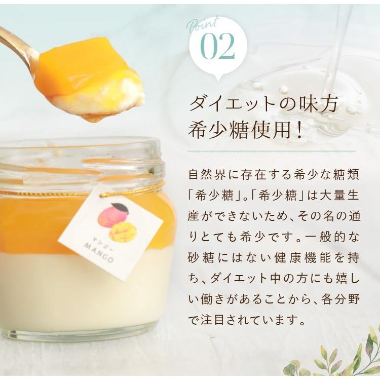 ギフト スイーツ 誕生日 プレゼント 彩果の恵み生チーズケーキ 6個入 お祝 内祝 出産祝 お礼 お返し おしゃれ 健康 フルーツ プリン ゼリー 送料無料|kasyou-morin|06