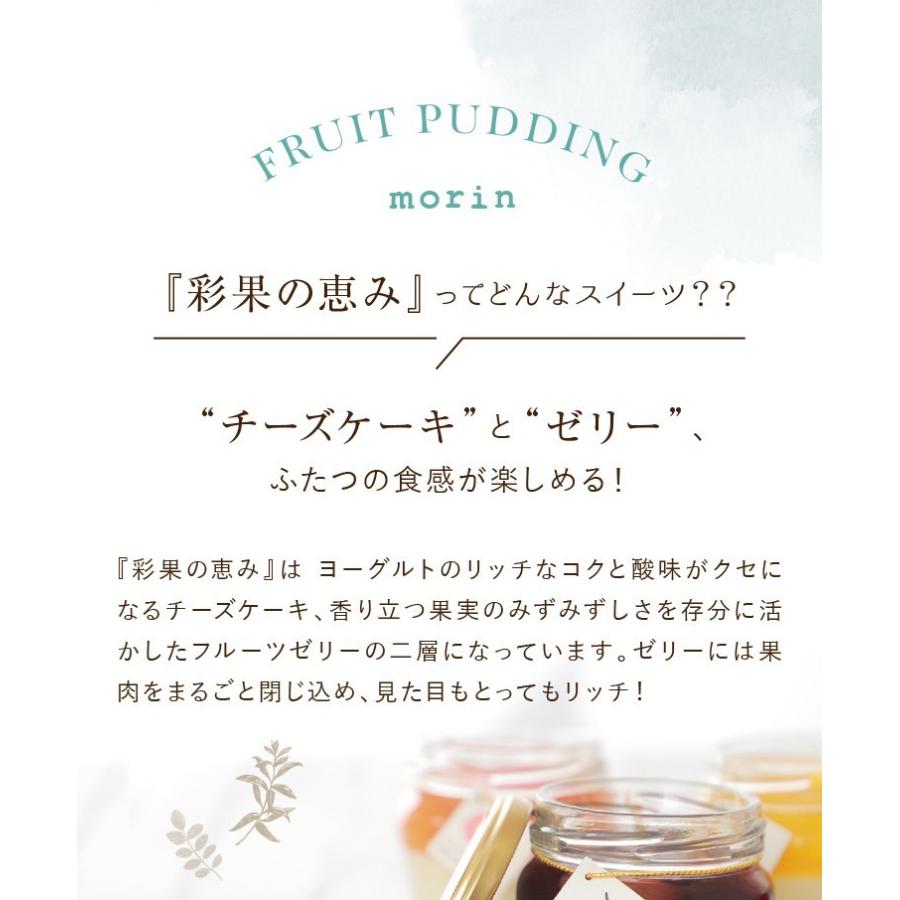 ギフト スイーツ 誕生日 プレゼント 彩果の恵み生チーズケーキ 6個入 お祝 内祝 出産祝 お礼 お返し おしゃれ 健康 フルーツ プリン ゼリー 送料無料|kasyou-morin|07