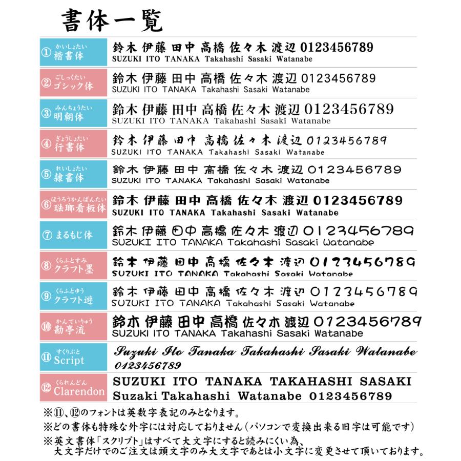 表札 猫 おしゃれ ステンレス調 シルバー 180×40 L ネコ 猫の表札 好きなレイアウトが選べる ポスト ドア 扉 外壁 門柱 屋外OK 銀 シール式 メール便送料無料｜katachi-lab｜08