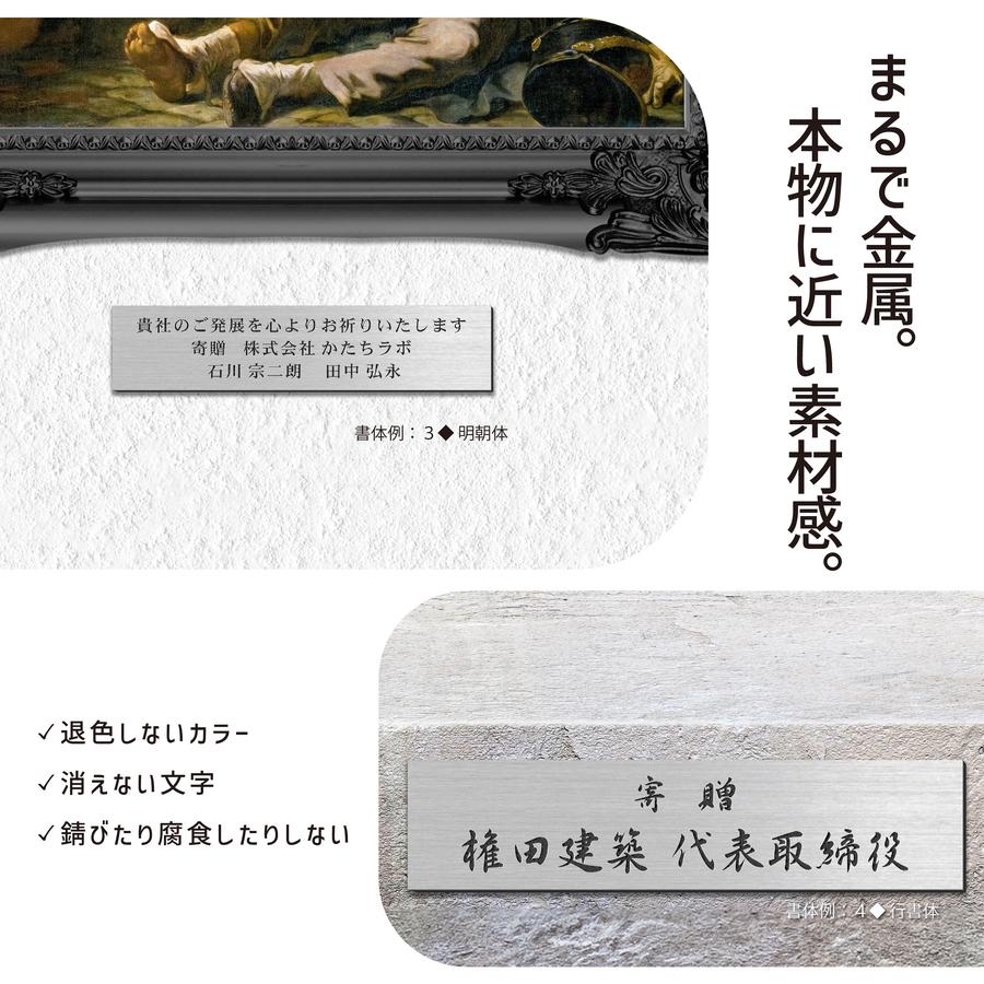 かたちラボ 寄贈プレート LL 450×120 ステンレス調 シルバー 大きい 名