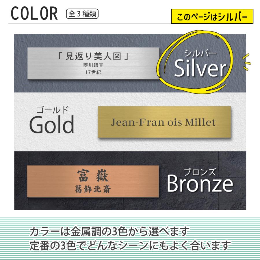 かたちラボ (刻印無料) 額縁プレート キャプションボード M ステンレス