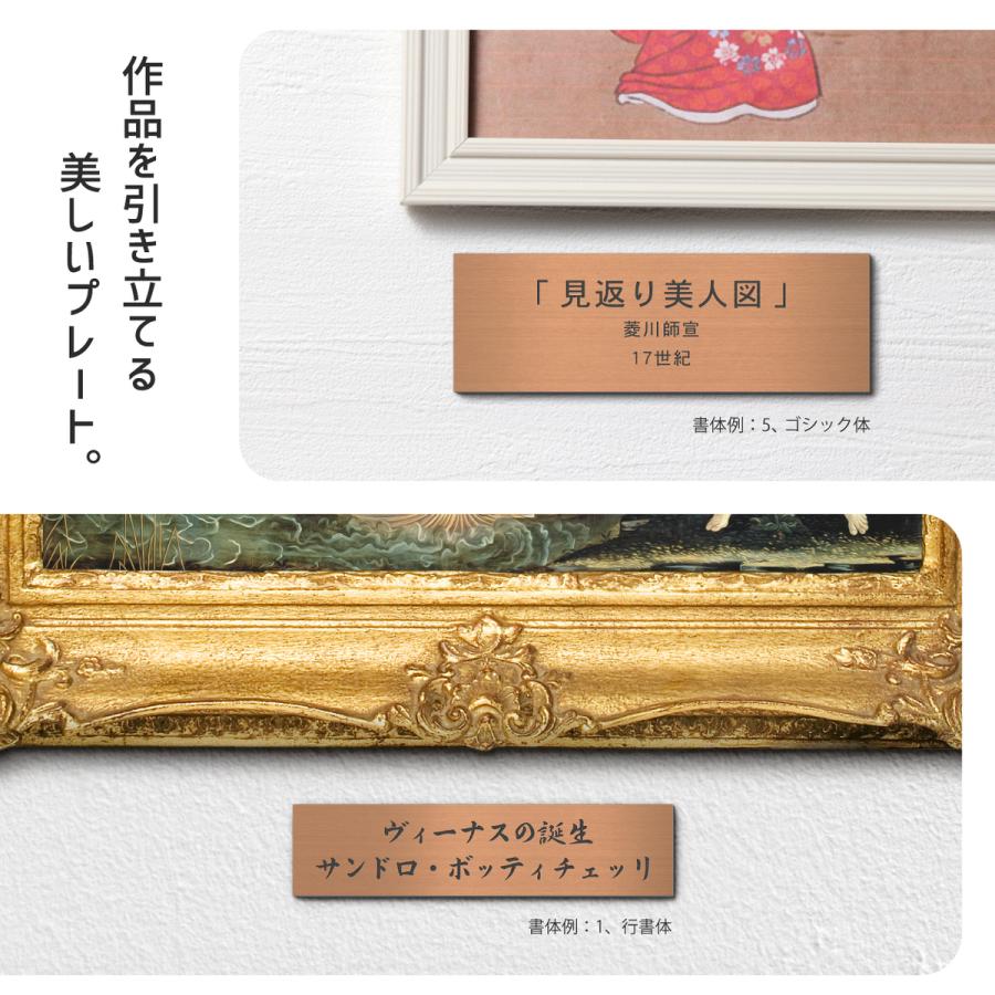 高級額縁付　「タイトル不明」 かたちラボ (刻印無料) 額縁プレート キャプションボード S 銅板風