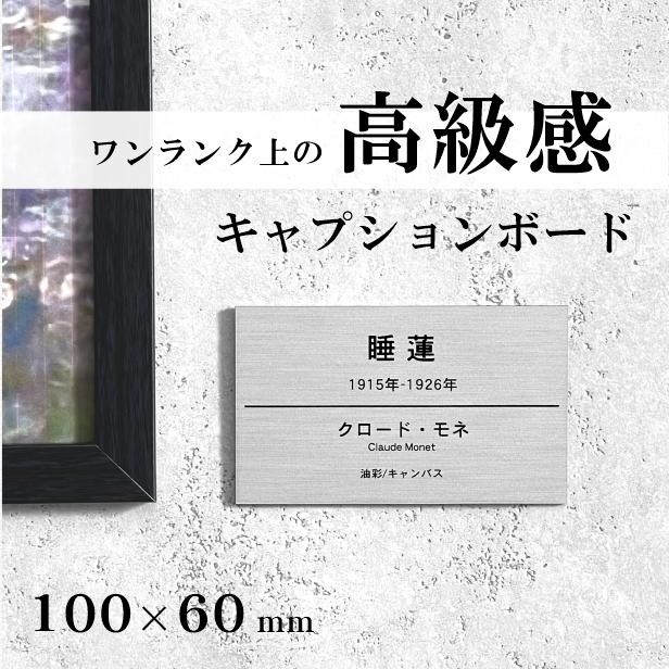 (非売品)THE HUNDREDS　プレート JAY ADAMS P.O.P 27inch 