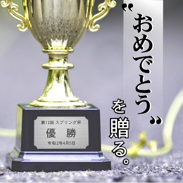かたちラボ 優勝 記念品プレート ステンレス調 シルバー 50×30mm 大会