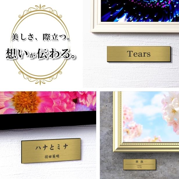 かたちラボ 刻印無料 写真プレート S 真鍮風 ゴールド