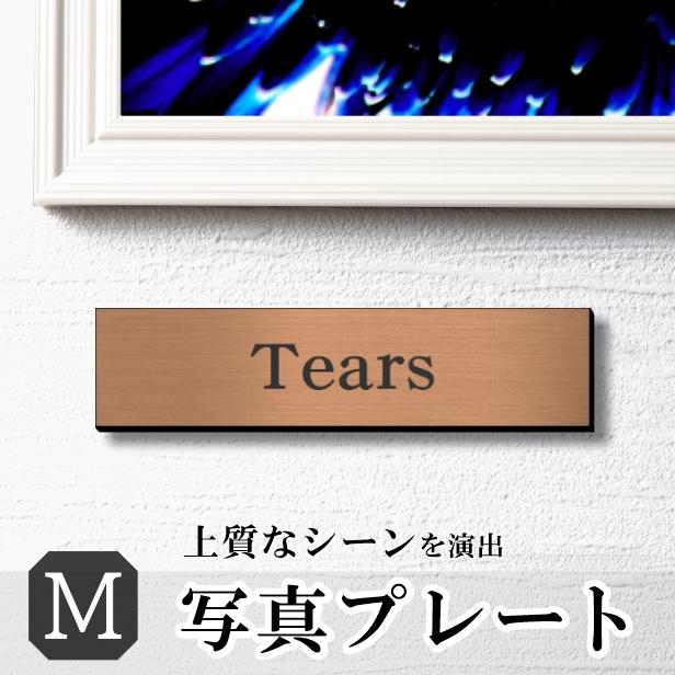 かたちラボ (刻印無料) 写真プレート M 銅板風 ブロンズ キャプション