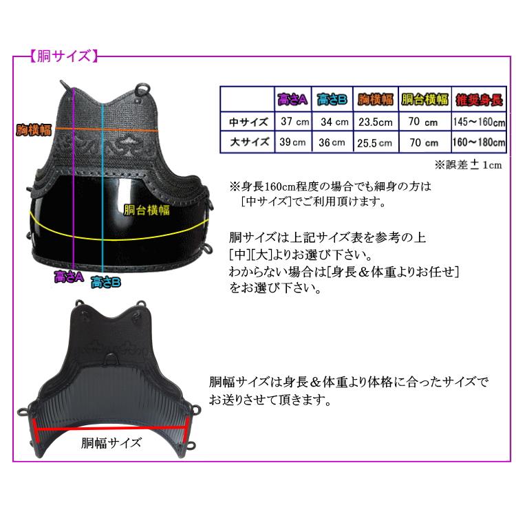 剣道 胴 / [AC-3S] 50本型強化樹脂胴(黒) [鬼雲飾り濃紺ナナメ刺/3本足