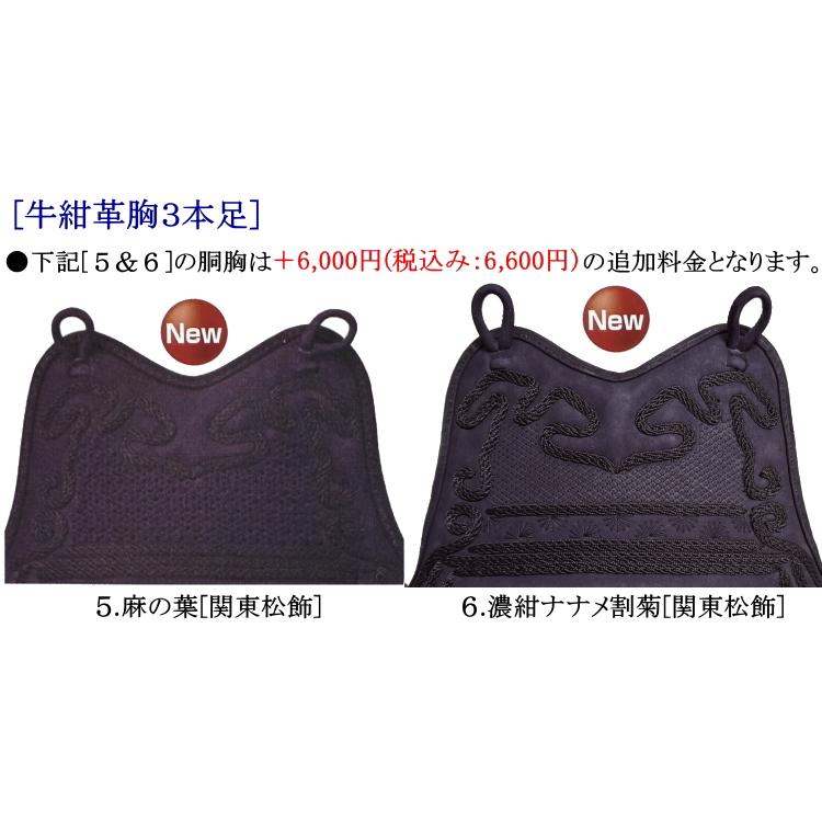剣道 胴 / 牛紺革胸 50本型強化樹脂胴(黒) 胴裏文字彫り無料! 送料無料 