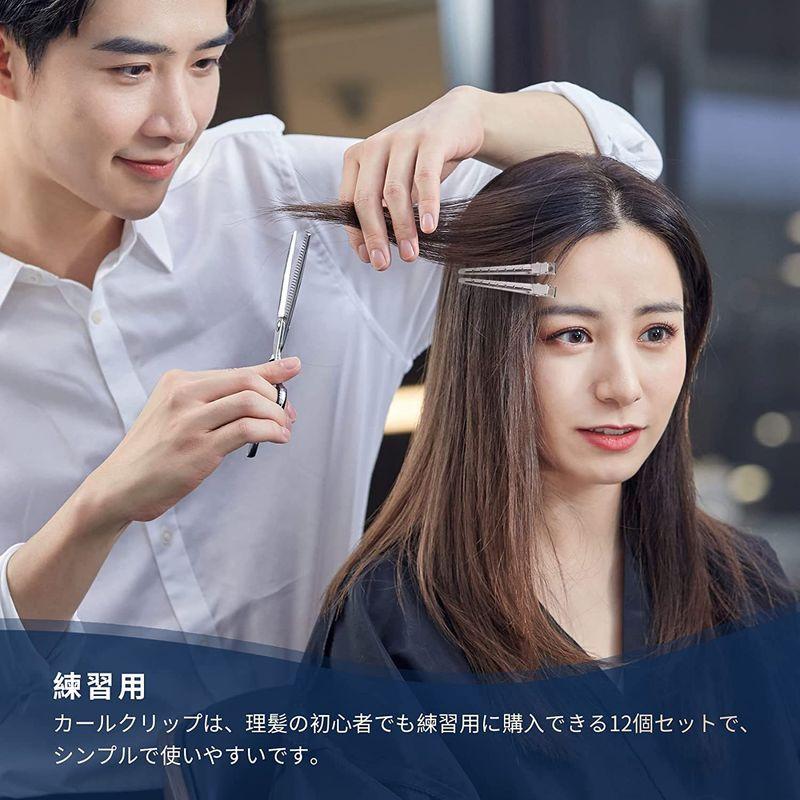 Annhua 業務用 ヘアクリップ 12本セット プロ用 髪留め 美容師カールクリップ 前髪クリップ 床屋 美容業界 無地 シルバー ヘアア 得品モール 通販 Yahoo ショッピング