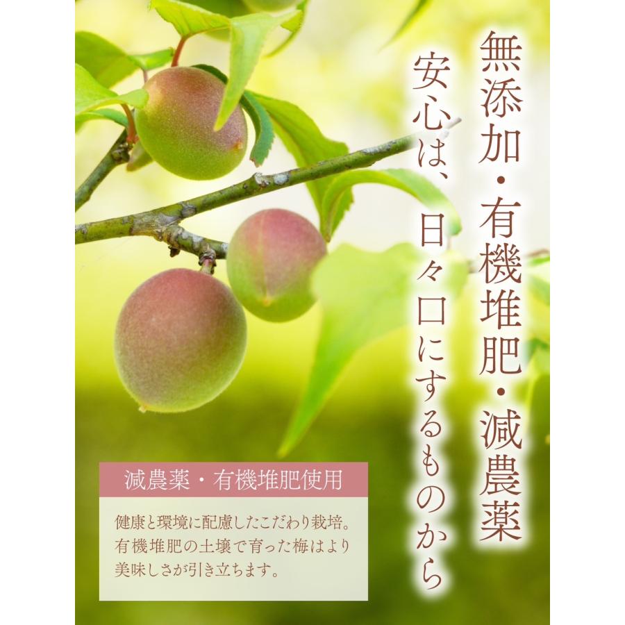無添加】つぶれ梅 白干し 無添加 塩のみ 1kg 天日塩 減農薬 送料無料