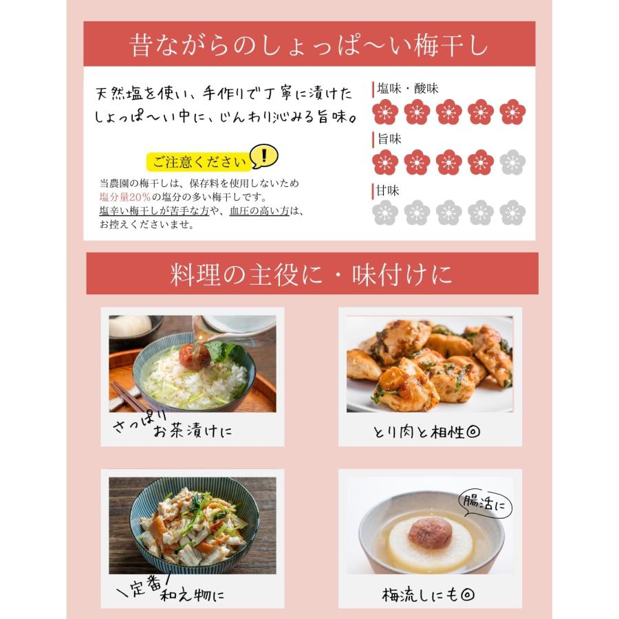 無添加】南高梅干し 無添加しらぼし 昔ながらのすっぱい梅干し 訳あり