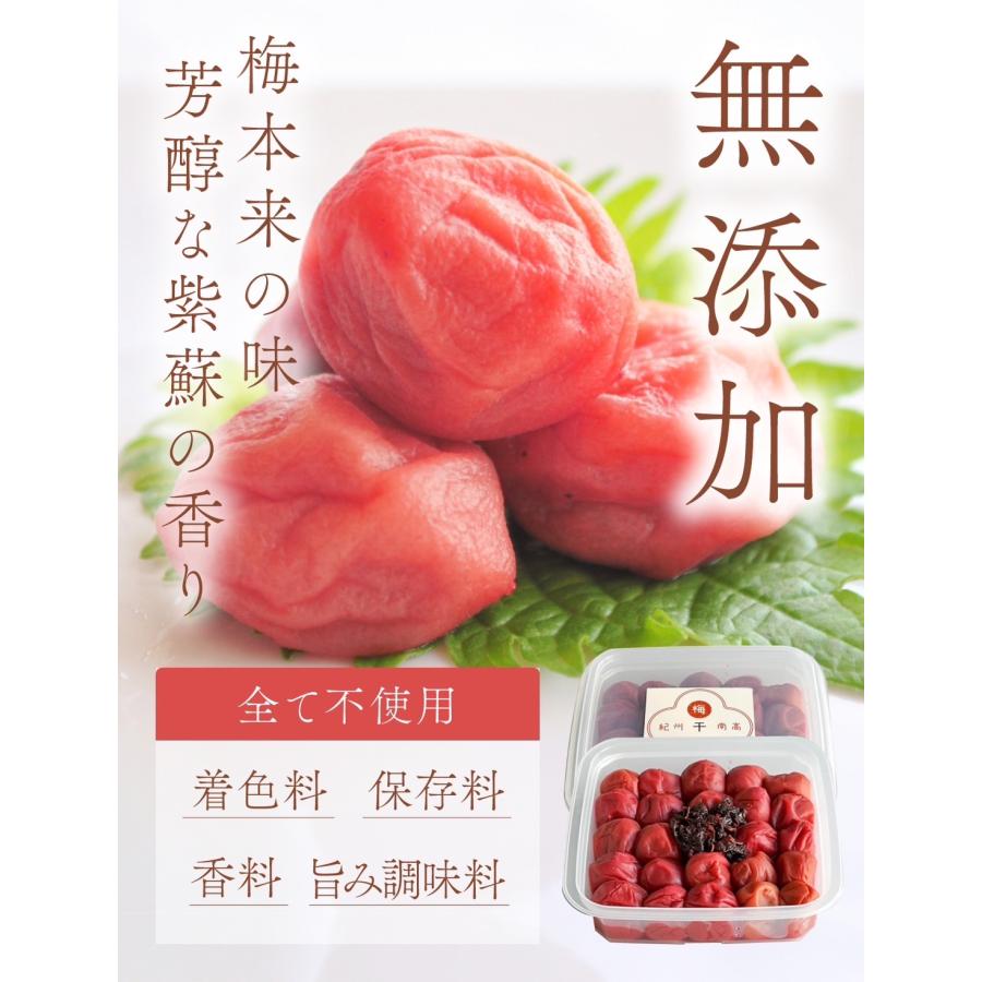 梅干し 訳あり 無添加 しそ味 昔ながらのすっぱい梅干し 1キロ 送料
