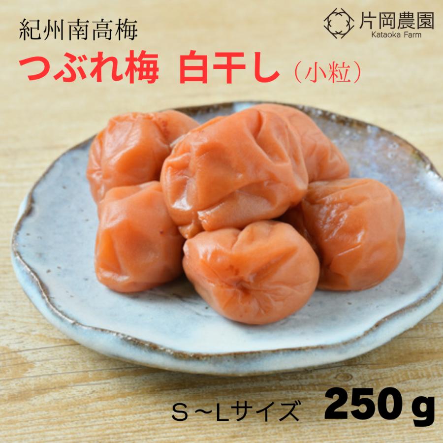紀州南高梅干 完熟つぶれ梅干 白干し 無添加 無選別 大粒3L 10kg