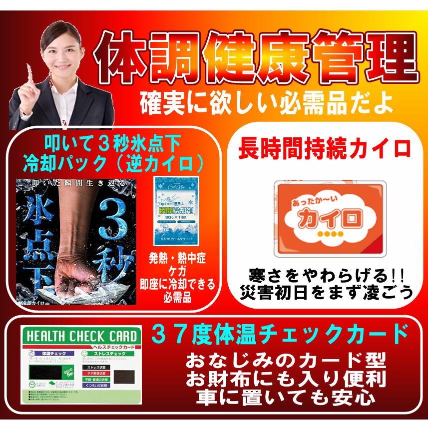 防災セット44点　災害初動を生き抜く静岡県民が選んだ 非常用持ち出し袋セット｜kateibitikuouen｜11