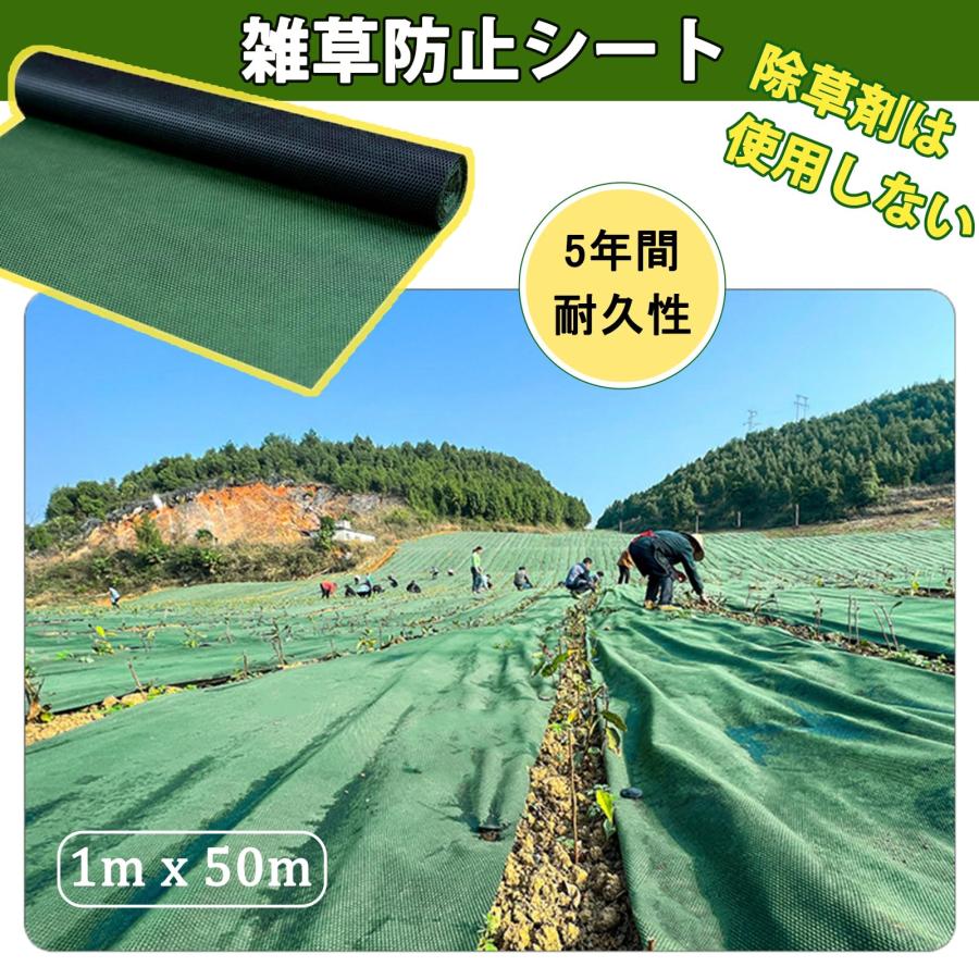 防草シート除草シート 10年耐久 高密度 高透水 不織布 雑草 防止 防草シート除草シート 10年耐久 高密度 高透水 不織布 雑草 防止