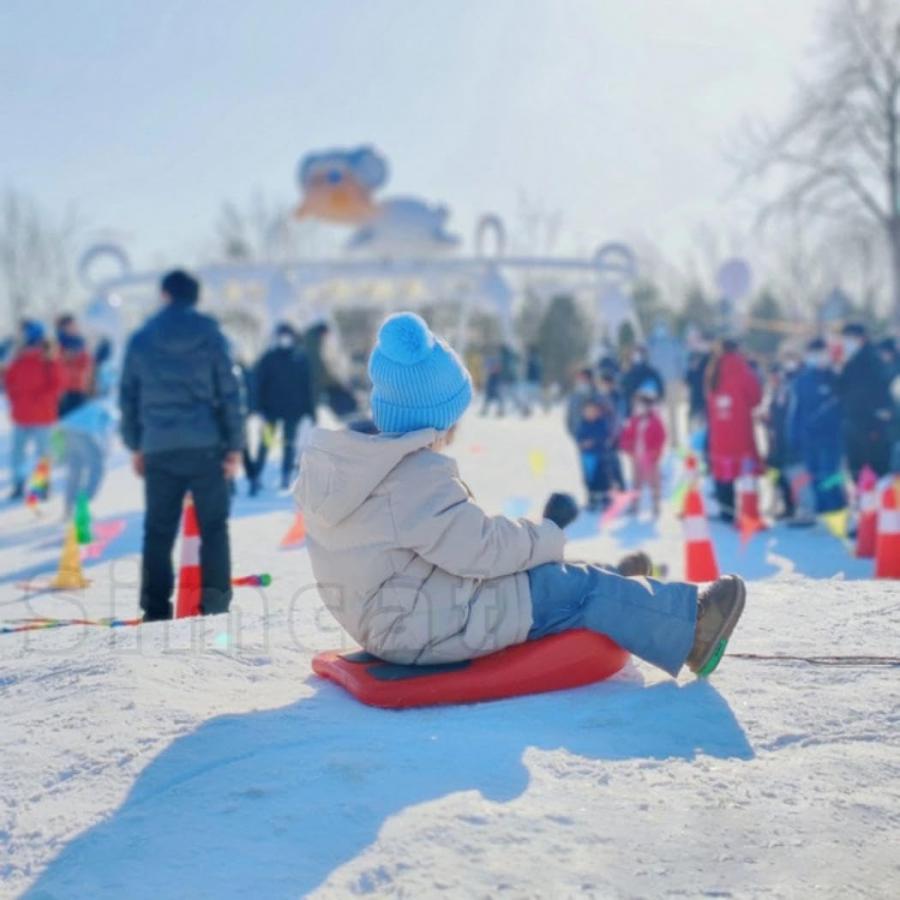 雪遊び 子供用ハンドル付き スノーキックボード ヒップソリ 雪ソリ ス