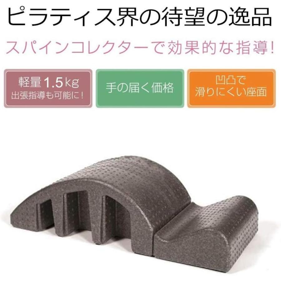 フレックスバレル くじら型 スパインコレクター ピラティス Amazon.co.jp: フレックスバレル （くじら型）＜スパイン
