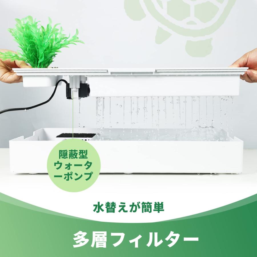 亀の水槽、両生飼育箱 オープンガラス水槽 タンカーポンプ、フィルター