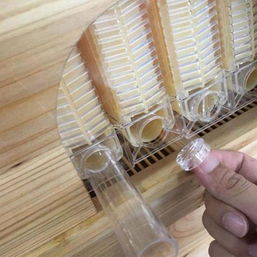 フローハイブ 蜂巣 蜜蜂巣箱 巣脾 巣礎 巣枠 ミツバチ巣 7Pcs