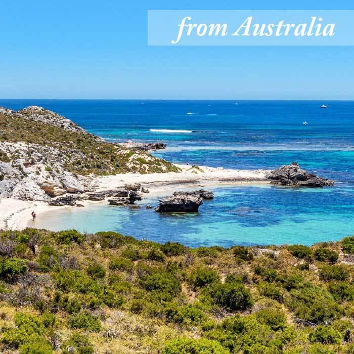 C&R セミベジタリアン・ドッグ 22.70kg(50ポンド) | グルテンフリーの無添加ドッグフード 魚肉 成犬 高齢犬(シニア) ダイエット 大容量 | C&R | 03