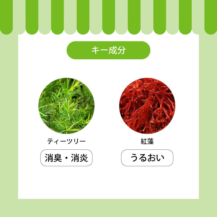 APDC ティーツリーコンディショナー シルキー 500ml | 紅藻エキス＆植物性ヒアルロン酸でもっとしっとり、もっとツヤツヤに！ 爆買 | A.P.D.C. | 03