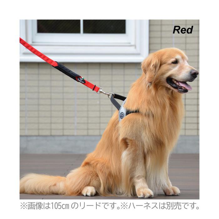 TRE PONTI（トレポンティ） ダブルセーフティーハンドルリーシュ 105cm