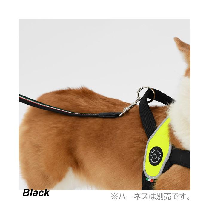 TRE PONTI（トレポンティ） エコノミックリーシュ イタリアンフラッグ