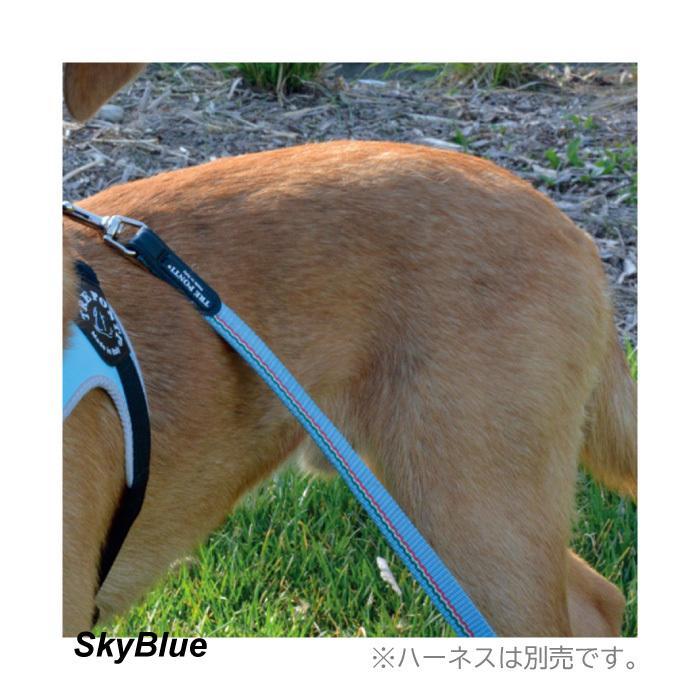 TRE PONTI（トレポンティ） エコノミックリーシュ イタリアンフラッグ