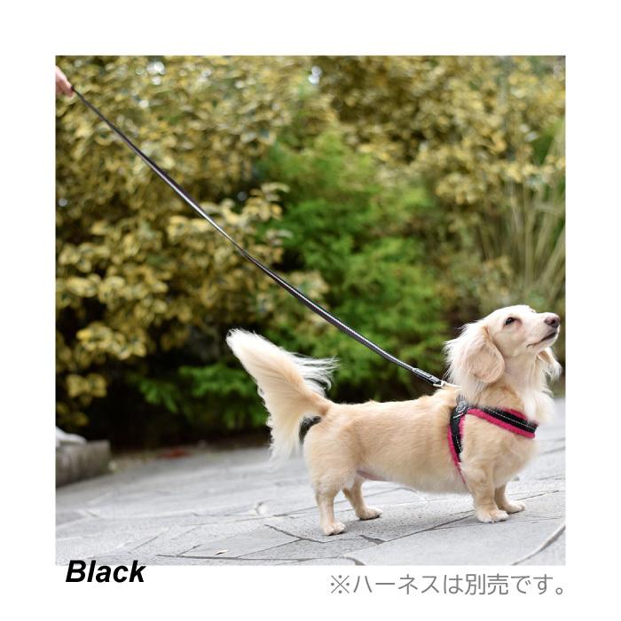 TRE PONTI（トレポンティ） エコノミックリーシュ イタリアンフラッグ