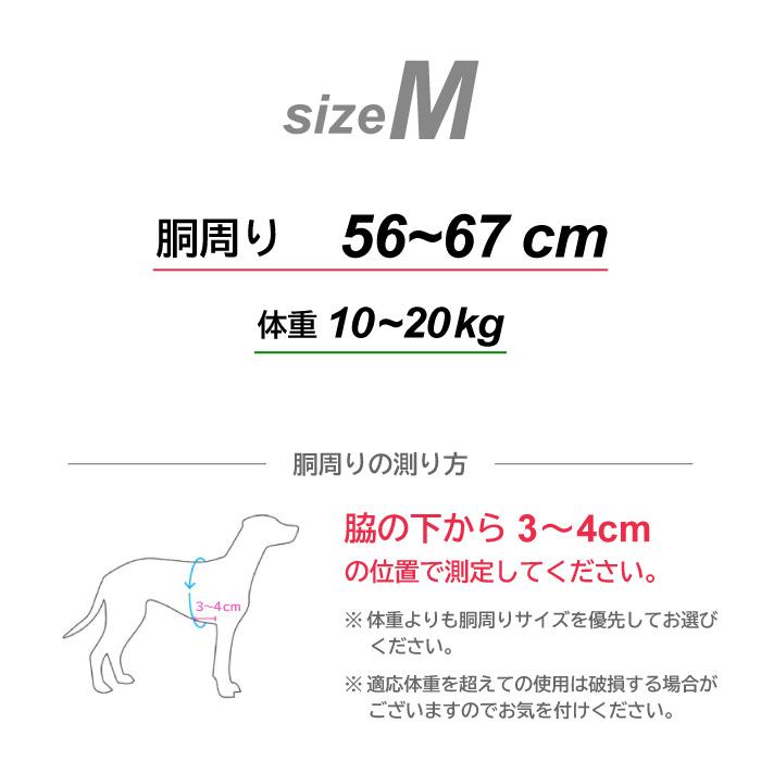 フラッシュ ラインハーネス サイズM(胴回り56〜67cm) TRE PONTI トレポンティ イタリア製 FLASH LINE HARNESSの画像