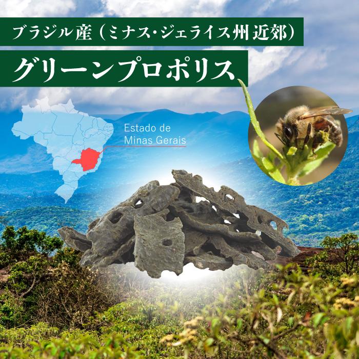 グリーンプロポリス エキス乾燥粉末 100g×5個 ブラジル産（ミナス 