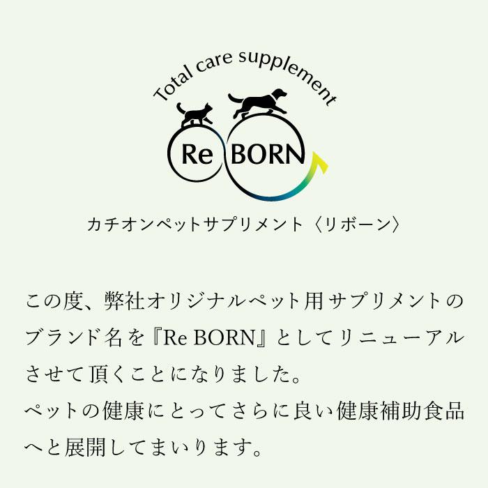 ペット用サプリメント ReBORN アイケアブライトNEO Lサイズ 80g | ブランド登録なし | 16