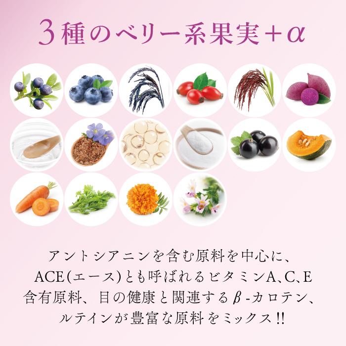 ペット用サプリメント ReBORN アイケアブライトNEO Lサイズ 80g | ブランド登録なし | 02