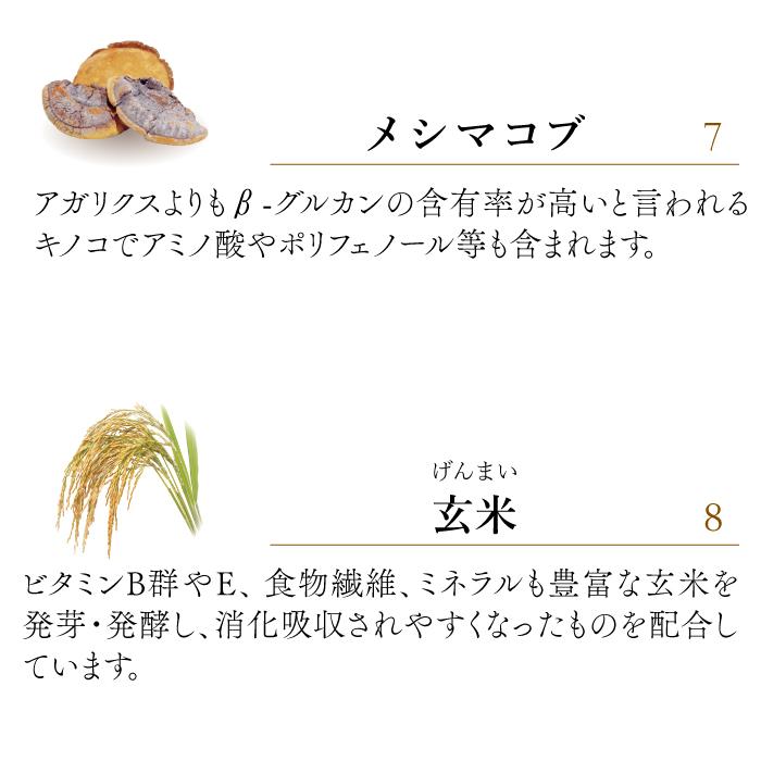 ペット用サプリメント ReBORN ライフフォース Lサイズ 80g（旧 CPL ジュピターハート） | ブランド登録なし | 11