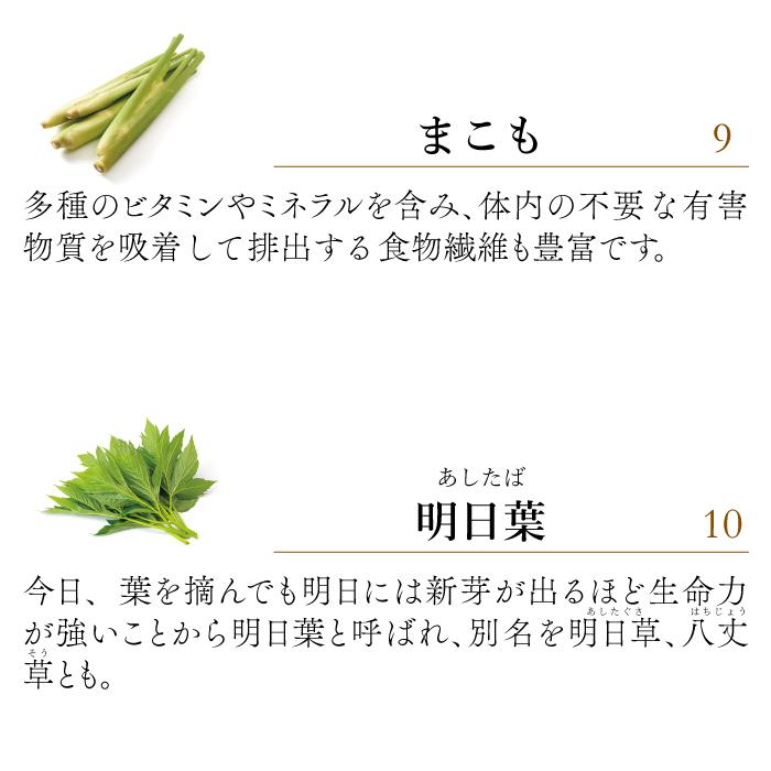 ペット用サプリメント ReBORN ライフフォース Lサイズ 80g（旧 CPL ジュピターハート） | ブランド登録なし | 12