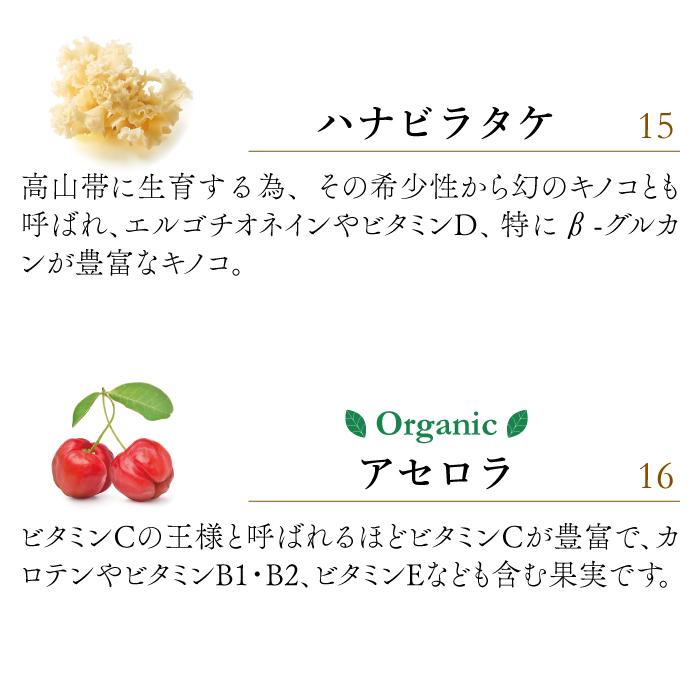 ペット用サプリメント ReBORN ライフフォース Lサイズ 80g（旧 CPL ジュピターハート） | ブランド登録なし | 15