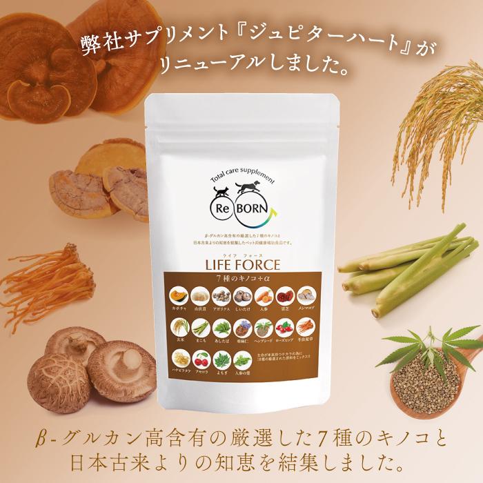 ペット用サプリメント ReBORN ライフフォース Lサイズ 80g（旧 CPL ジュピターハート） | ブランド登録なし | 01