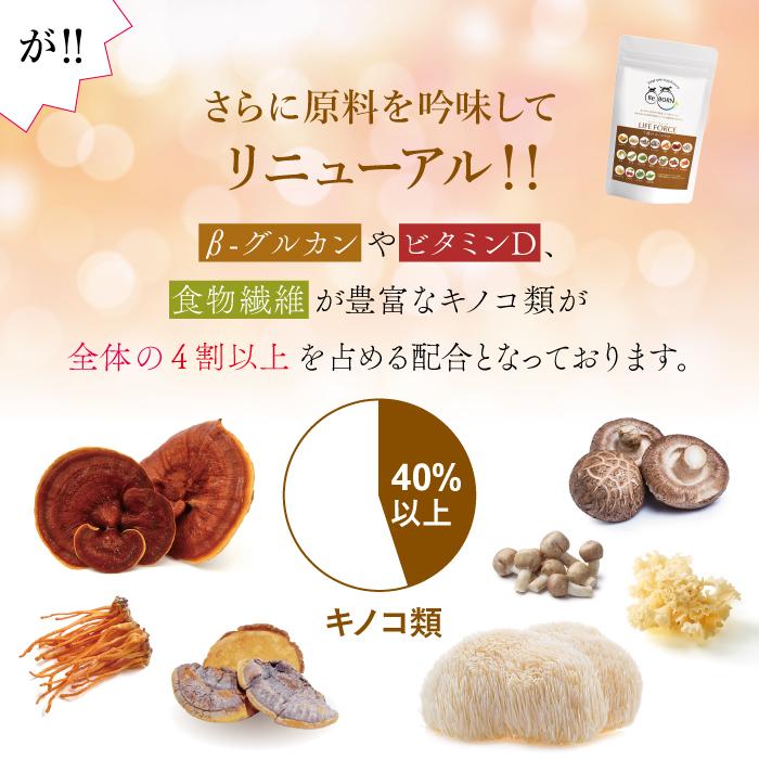 ペット用サプリメント ReBORN ライフフォース Lサイズ 80g（旧 CPL ジュピターハート） | ブランド登録なし | 04