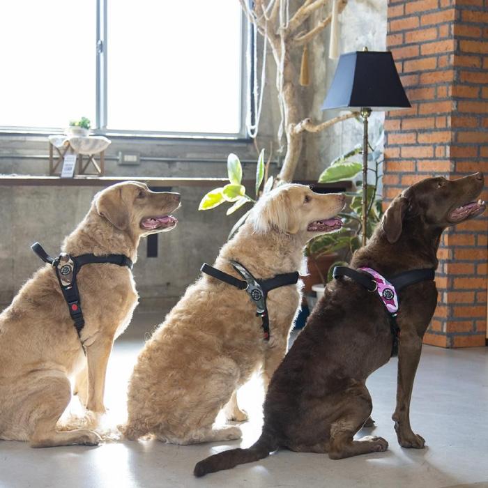 トレポンティ プリモ カモフラージュ | 中型・大型犬用ハーネス | TRE PONTI | 10