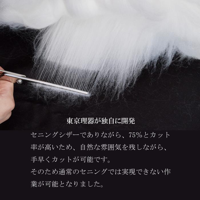 無料研ぎ券・お手入れ用品のおまけ付 MG-40T 胡蝶 東京理器