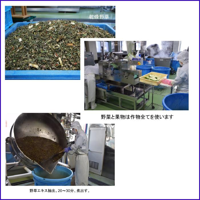 ニューサイエンス ファスティングヴィンテージ 3本セット | NU SCIENCE | 05