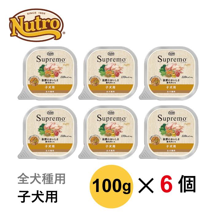 ニュートロ シュプレモ 子犬用 トレイ 100g × 6個 :nutro-s-koinu6:カチオン - 通販 - Yahoo!ショッピング
