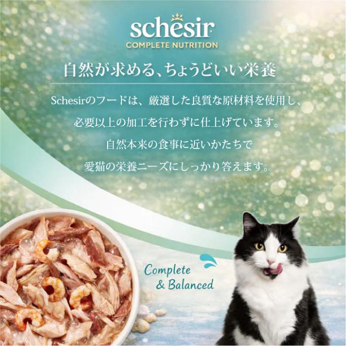 シシア（Schesir） キャット 選べる15缶セット 50g×15缶 | 保存料