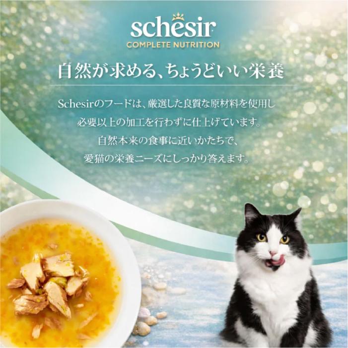 シシア（Schesir） キャット スープ 選べる12個セット パウチ 40g×3