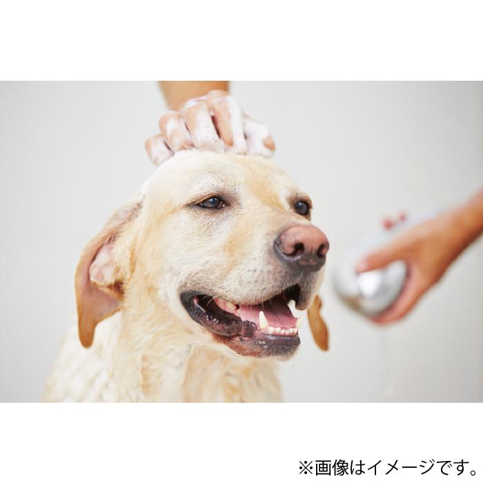 新品本物 Sgjプロダクツ トリートメントシリーズ ホホバ リンス 犬猫用 S 250ml 超目玉 Southpointbd Com